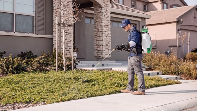 73334 good life pest solutions 1 768x432