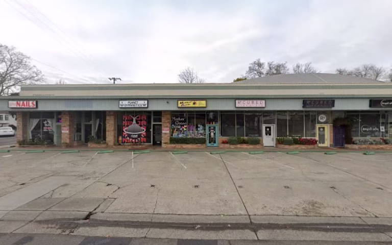 73451 critter local pest control 768x480