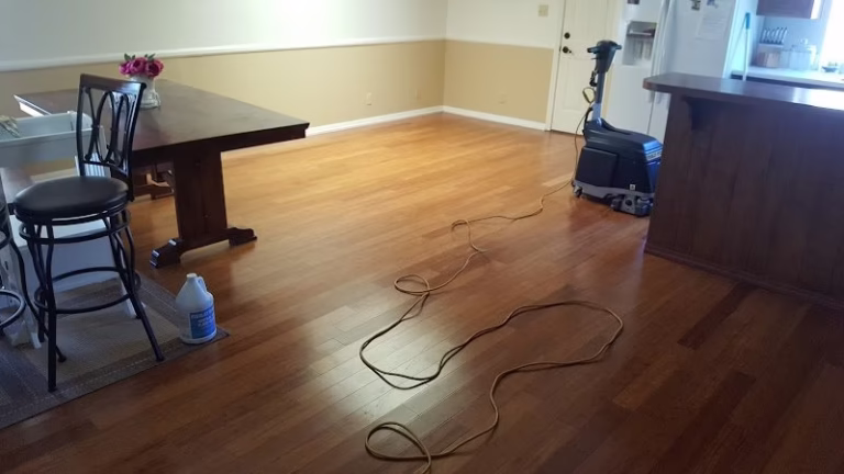 73525 stanley steemer 3 768x432