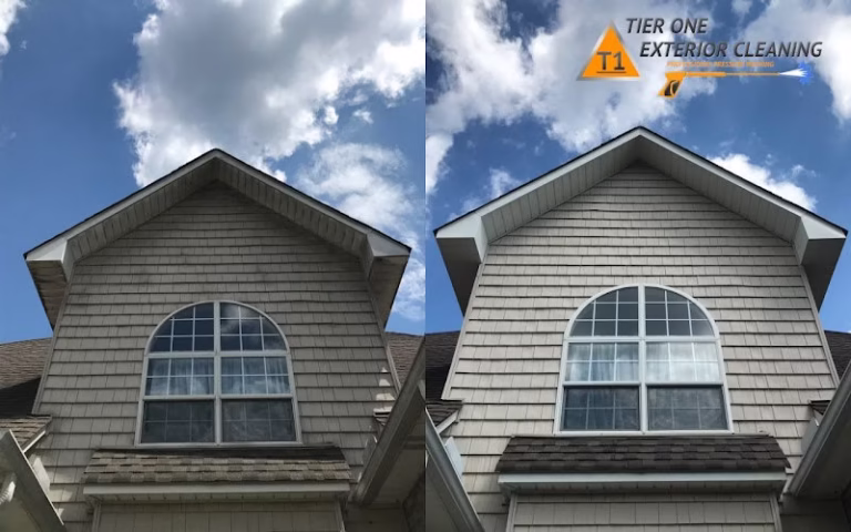 74855 tier one exterior cleaning 1 768x480