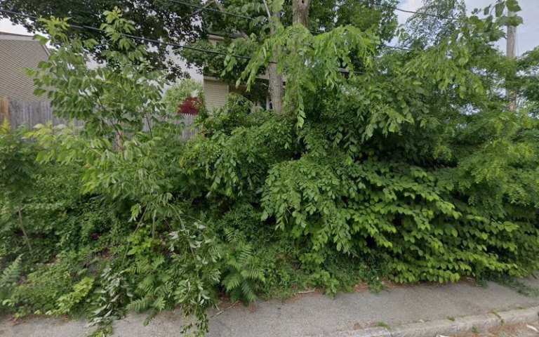 74987 tms cleaning services llc 2 768x480