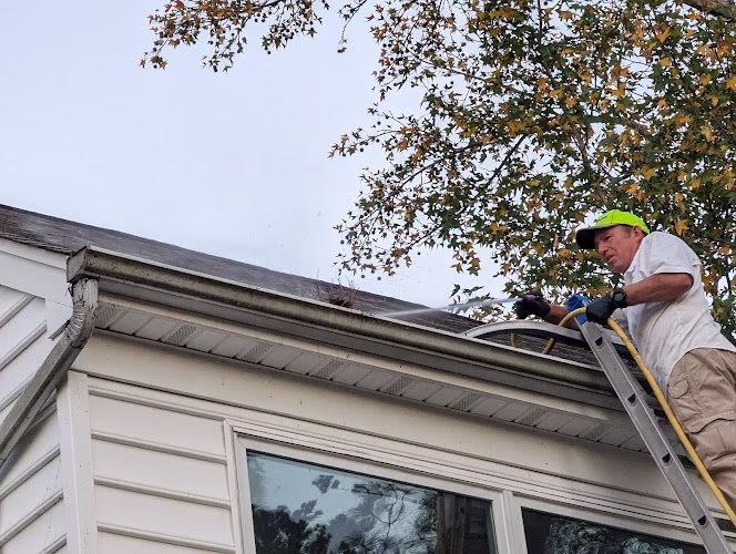 75149 soft wash mafia 1