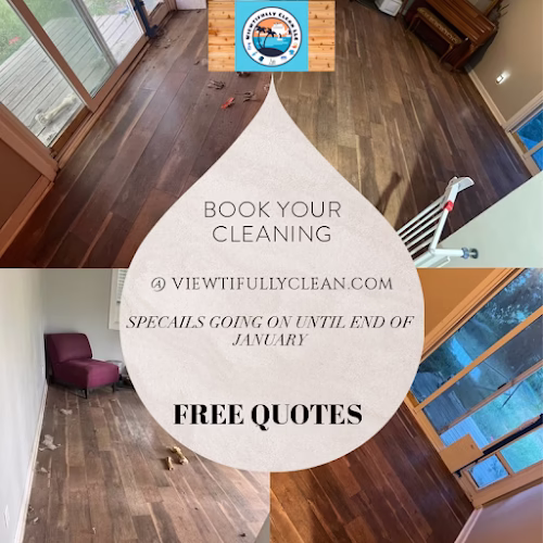 75202 viewtifully clean llc 1