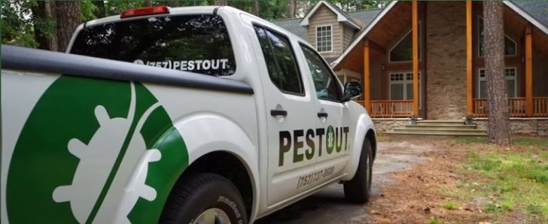 75214 pestout 768x314