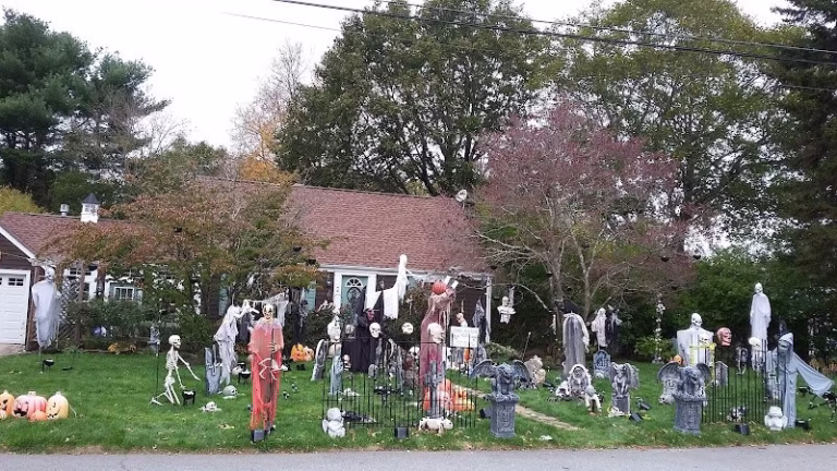 75408 anna eddys window cleaning 1 768x432