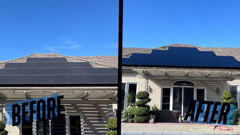 75875 shine force 768x432