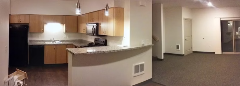 76450 spotless cleaning services 768x276