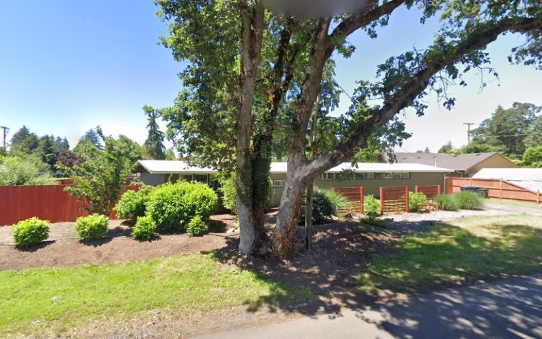 76459 broomstick 1 768x480