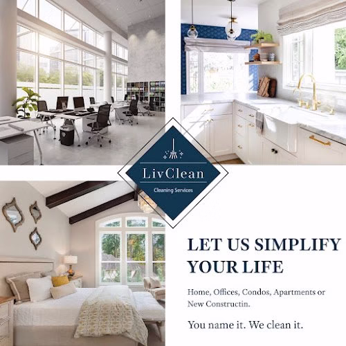 76586 livclean services of cary 1