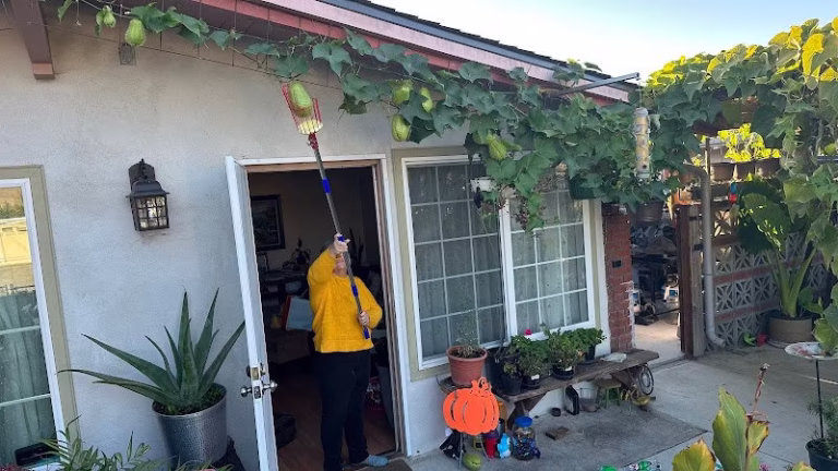 77186 evelyns cleaning services 1 768x432