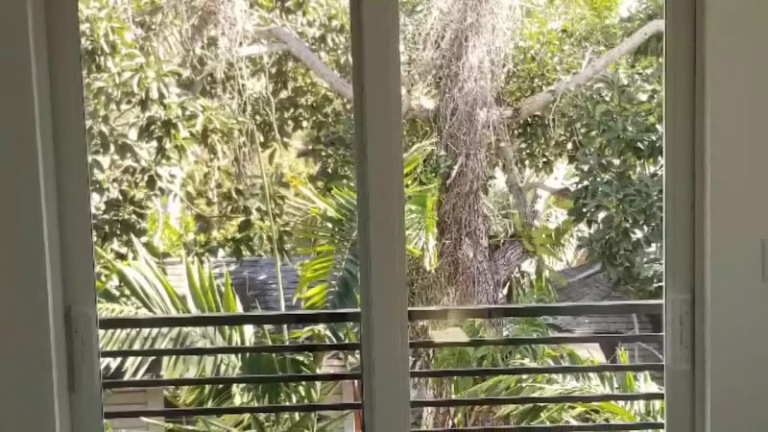 77267 horizon windows corp 1 768x432