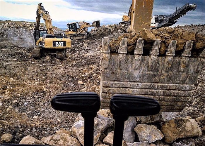 79855 stamm development 1