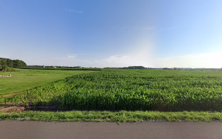 80500 german excavating 1 768x480