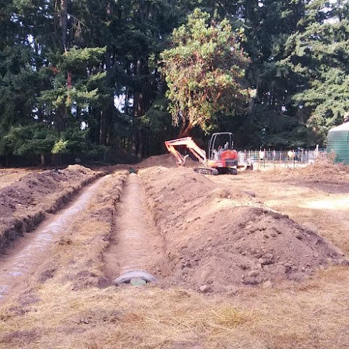 81982 alpha bravo septic and drainage inc 1