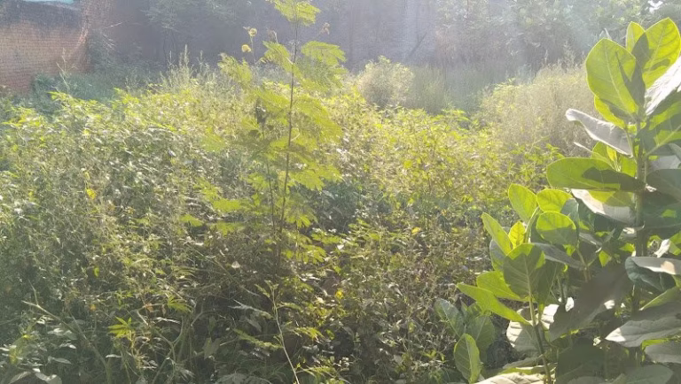 82356 state contracting corp of ny 1 768x434