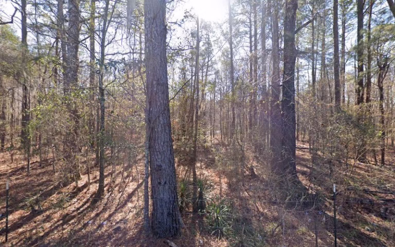 82475 murphys excavating services 1 768x480