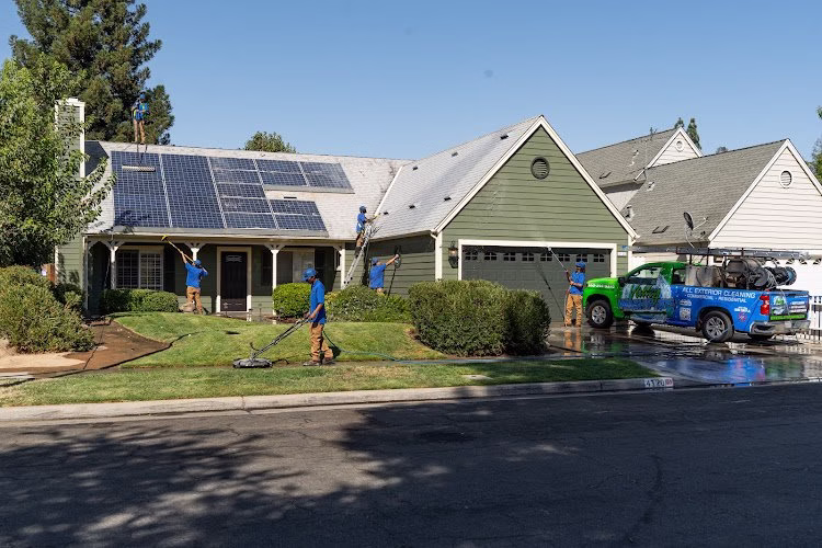 85036 valley wash pros bird proofing department all exterior cleaning tulare county 1