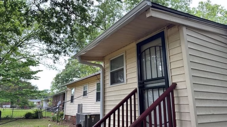 85219 mighty dog 768x432