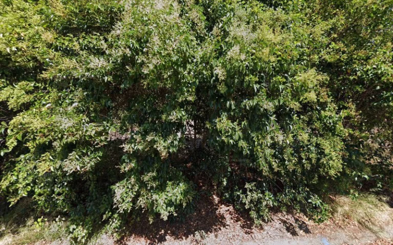 86288 thousand oaks roofing 1 768x480