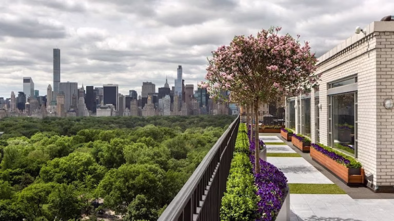 86461 new york decks 1 768x432