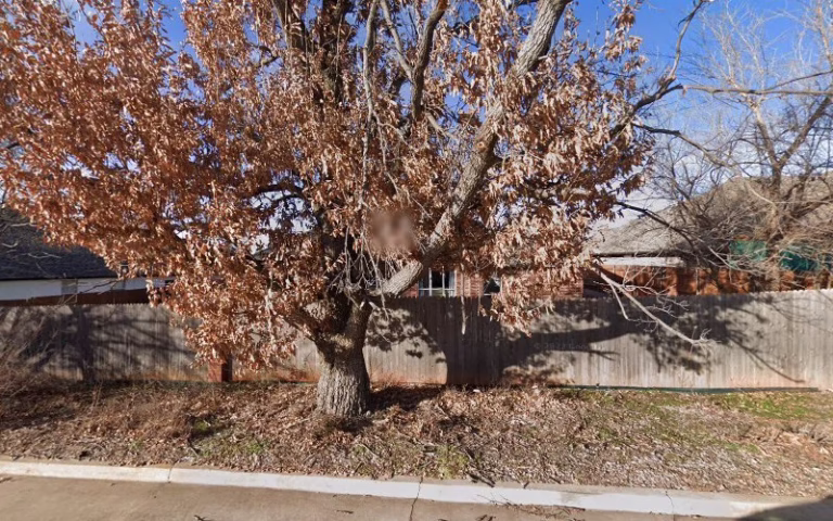 87764 backyard guys 1 768x480