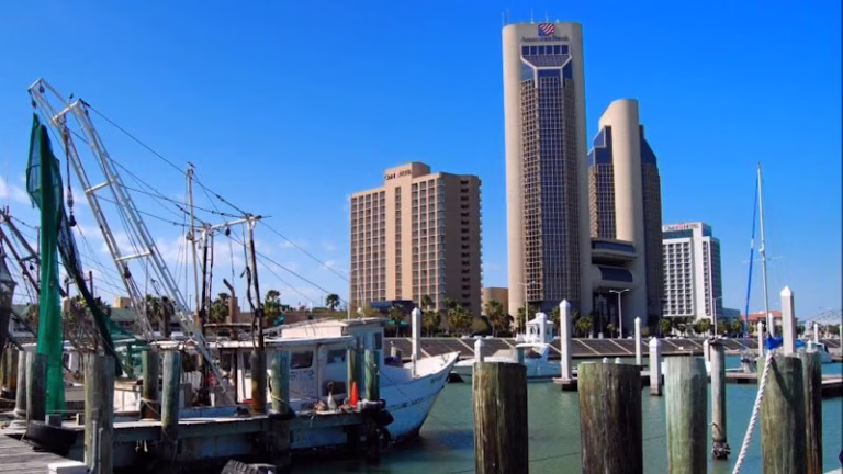 88397 first choice inspection services 768x432