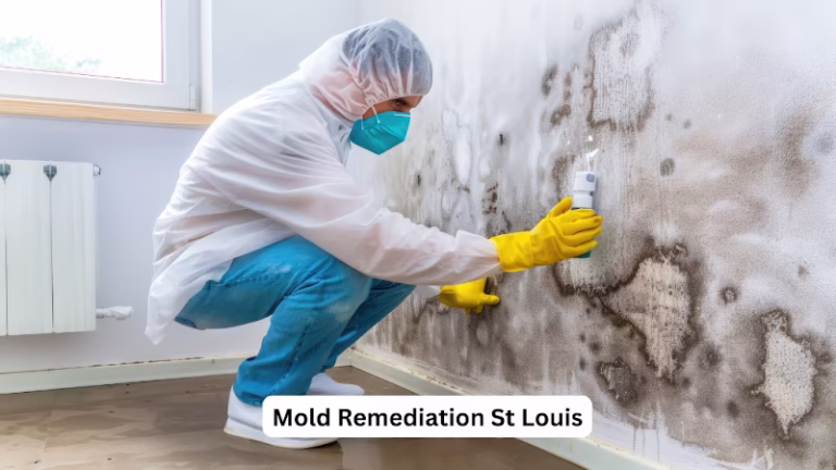 89123 st louis mold remediation solutions 768x432