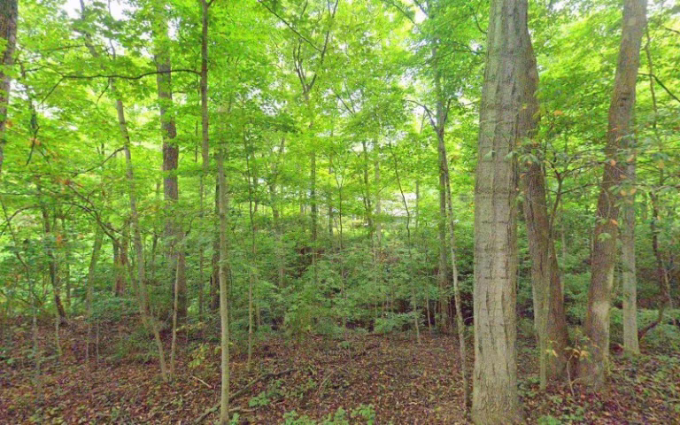 89365 finegan inspection services inc 1 768x480