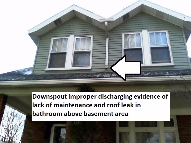 89415 ed lampl environmental and home inspections