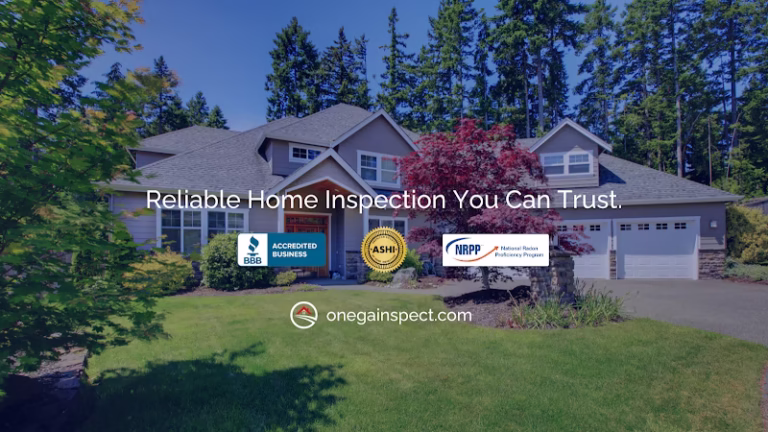 89552 onega sons inspection services 1 768x432