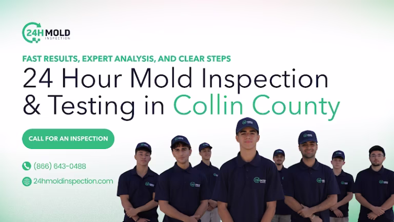 89821 24h mold inspection of collin county 1 768x432