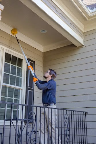 90590 pest termite consultants 1