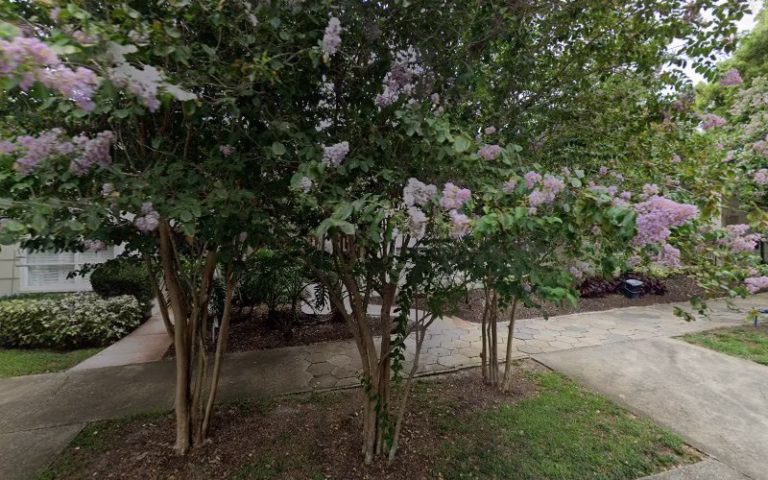 90899 van allen property services 768x480