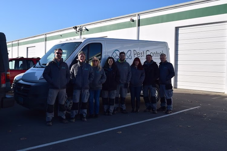 91397 celtic pest control 1