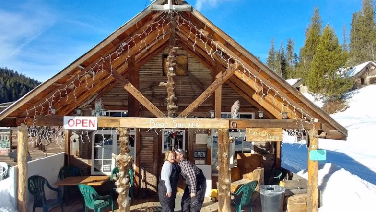 92313 nielsen inspection services 1 768x432