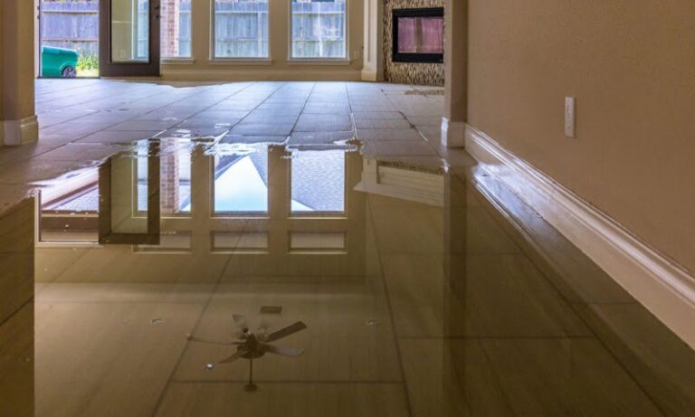 9295 gm construction and restoration corp 768x461