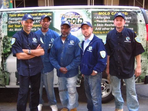 93162 five boro mold specialist 1