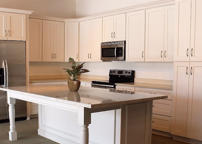 99544 dl cabinetry 8211 tampa 1