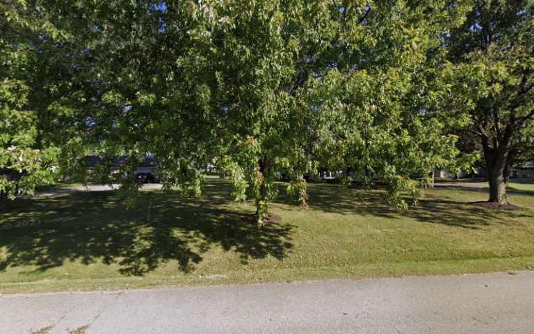 115825 randys carpet cleaning 768x480