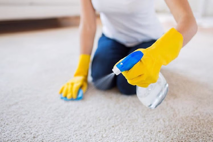 115915 tao carpet cleaning union city