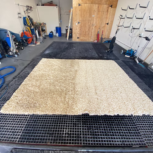 115972 truclean rug spa 1