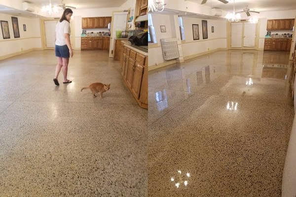 116160 express floor care 3