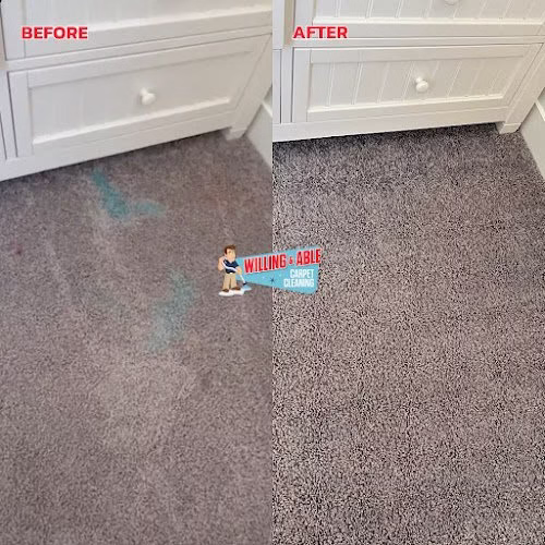 116203 willing able carpet cleaning 1