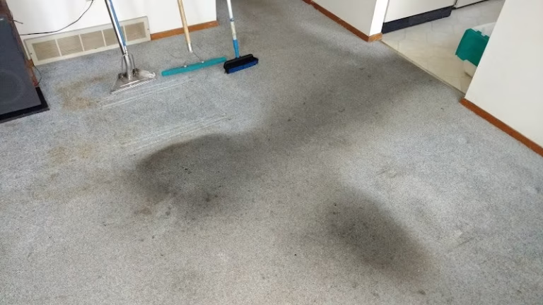 116289 extreme carpet and tile cleaning buffalo 768x432