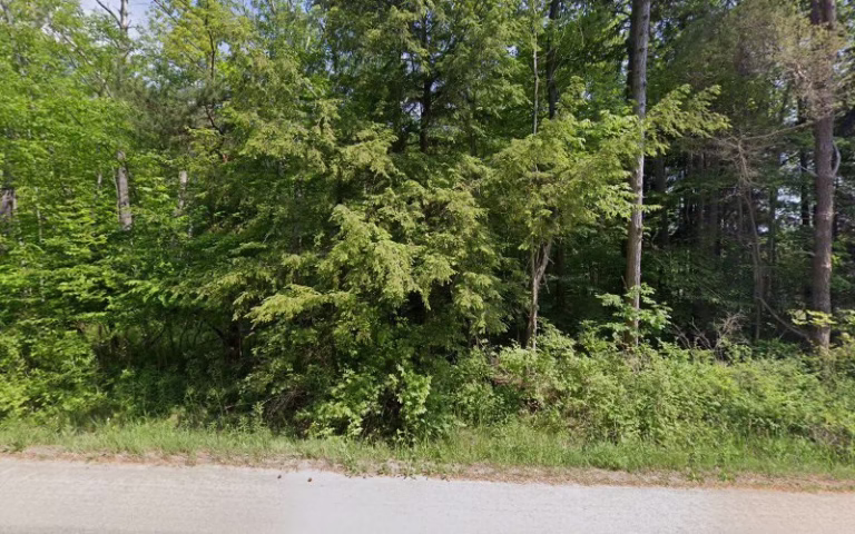 116410 vip cleaning carpet services inc 1 768x480