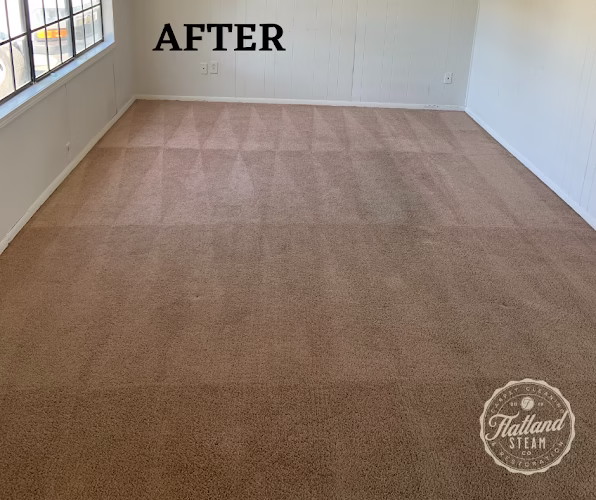 116434 flatland carpet cleaning 1