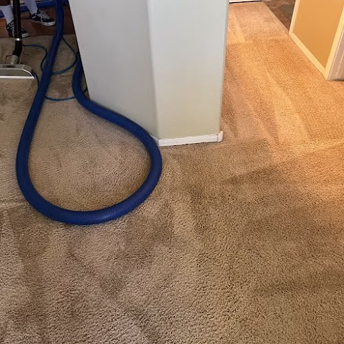 116540 renew cleaning services 1