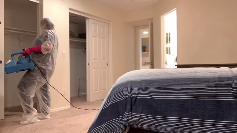 116567 pure cleaning 1 768x432