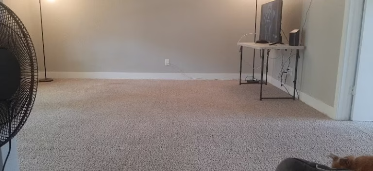 116615 arizona carpet care 768x354