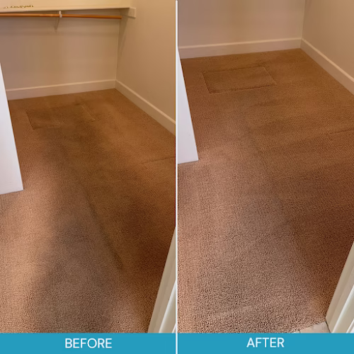 116675 affinity cleans 1